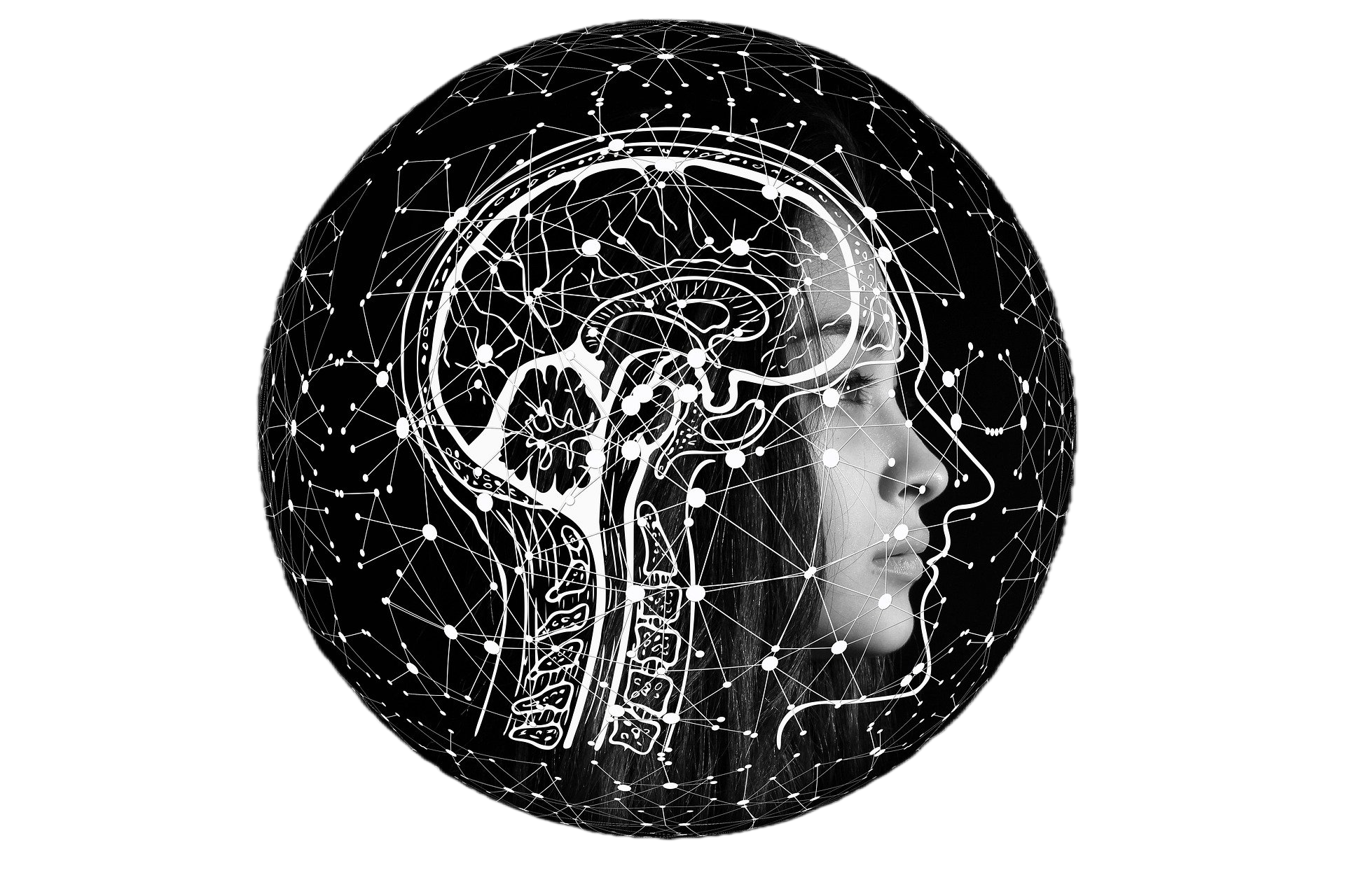 AI/머신러닝